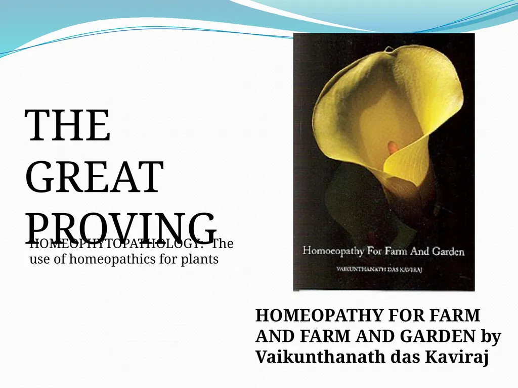 BEYOND THE MOLECULE: Theory Evidence Biological - slide 29 of 45