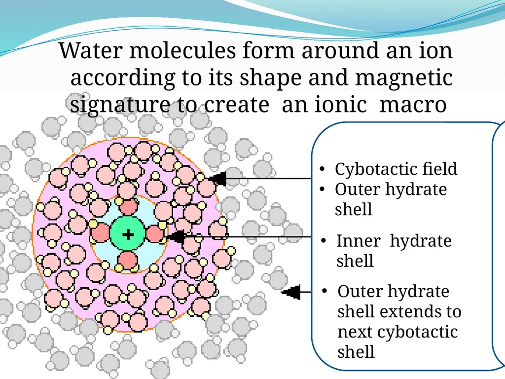 BEYOND THE MOLECULE: Theory Evidence Biological - slide 5 of 45