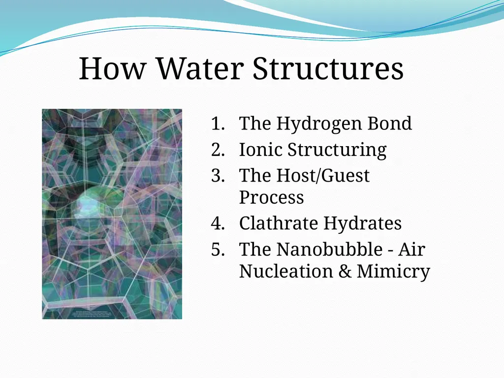 BEYOND THE MOLECULE: Theory Evidence Biological - slide 27 of 45