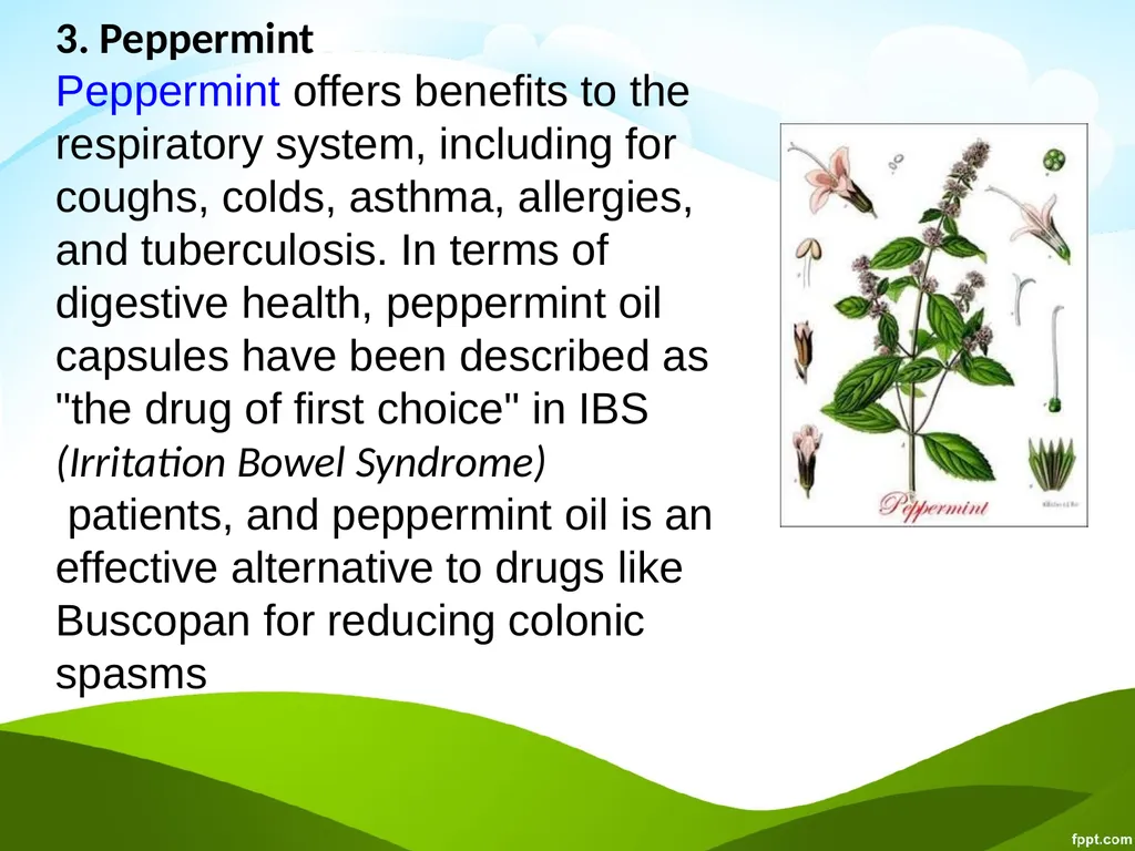 Click to edit Medicinal plants - slide 22 of 43