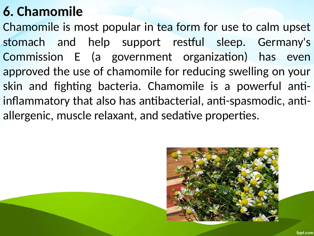 Click to edit Medicinal plants - slide 38 of 43