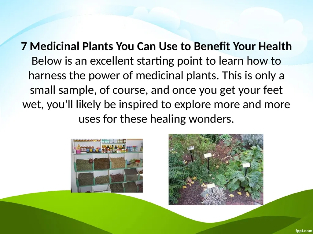 Click to edit Medicinal plants - slide 12 of 43