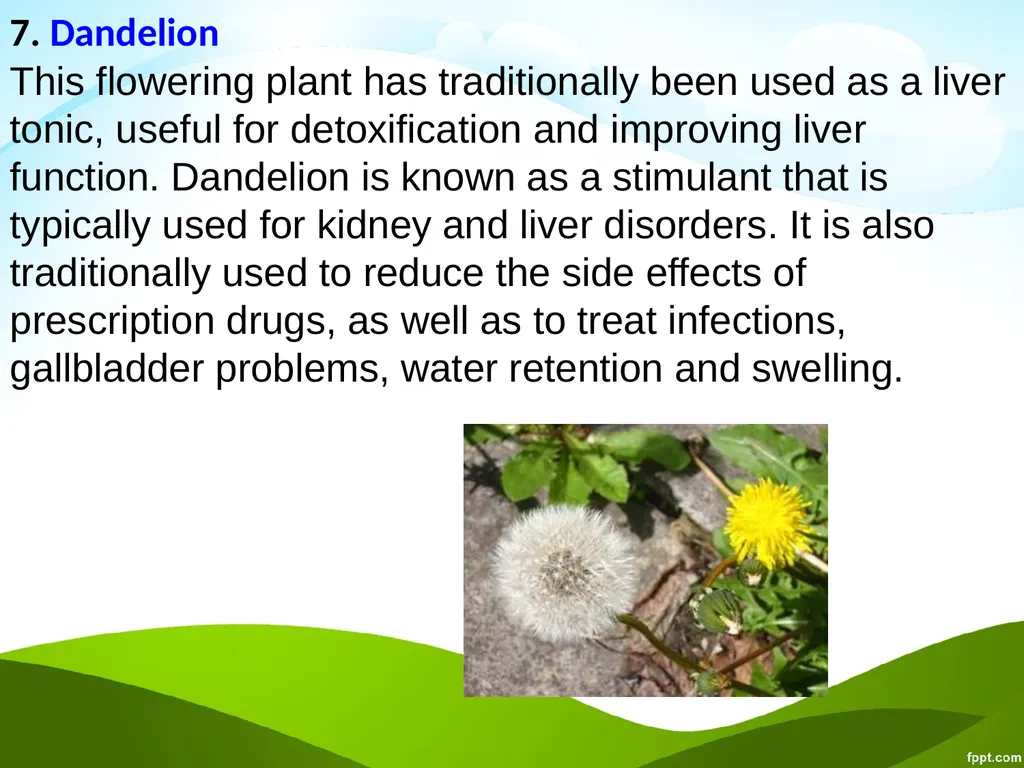 Click to edit Medicinal plants - slide 41 of 43