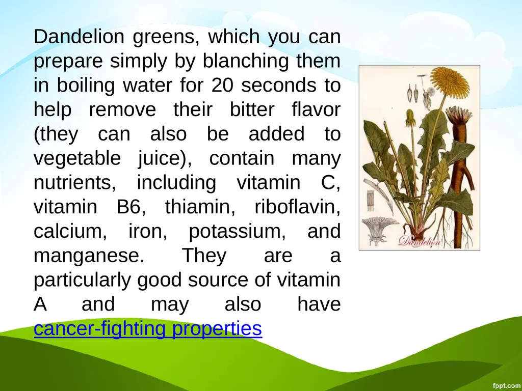 Click to edit Medicinal plants - slide 42 of 43