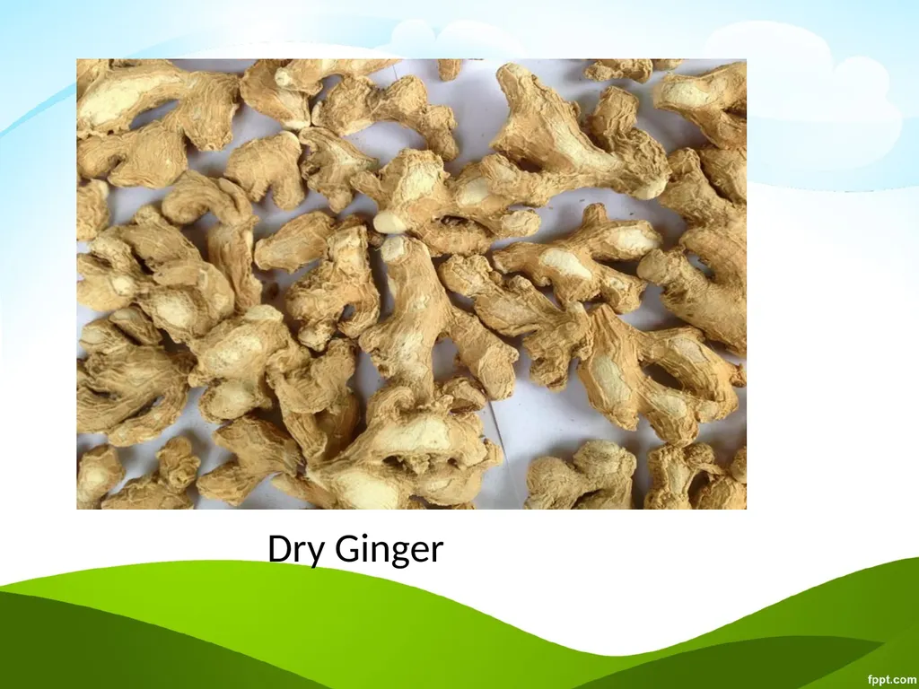 Click to edit Medicinal plants - slide 14 of 43