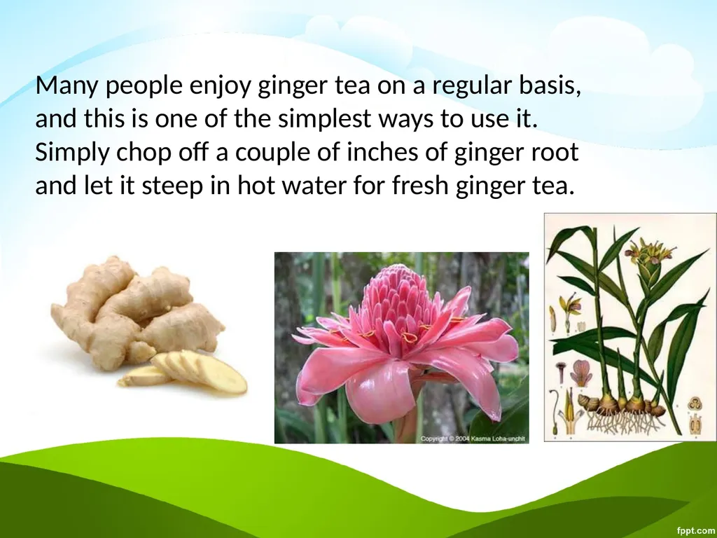 Click to edit Medicinal plants - slide 17 of 43