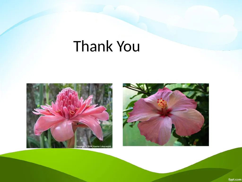 Click to edit Medicinal plants - slide 43 of 43