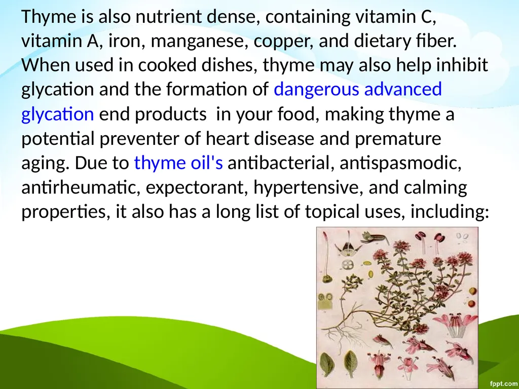 Click to edit Medicinal plants - slide 35 of 43