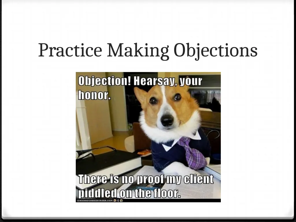 Rules of Evidence and Objections Mock Trial Rules - slide 17 of 20