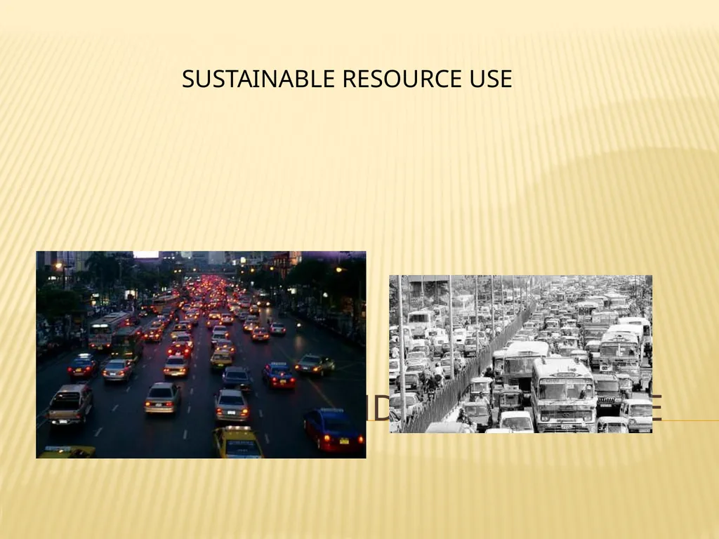 Limits to growth and sustainable use of resources - slide 12 of 25