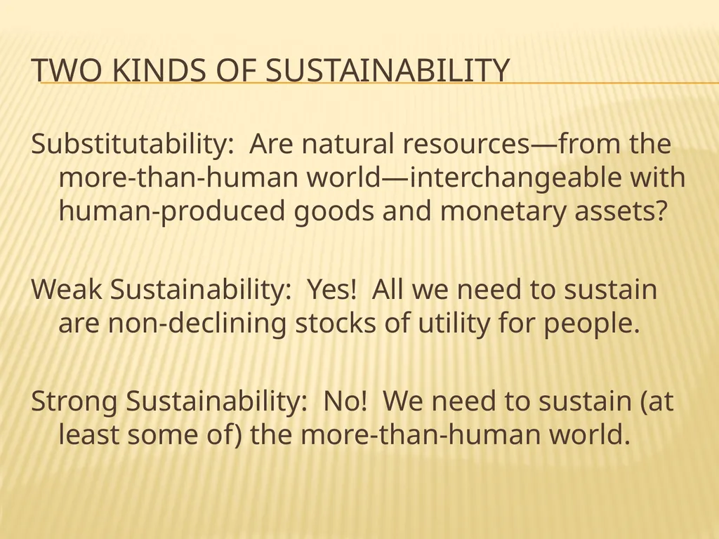 Limits to growth and sustainable use of resources - slide 21 of 25