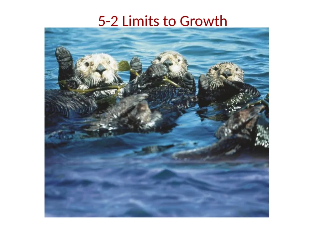 Section 5.1, Population Ecology What types of - slide 8 of 34