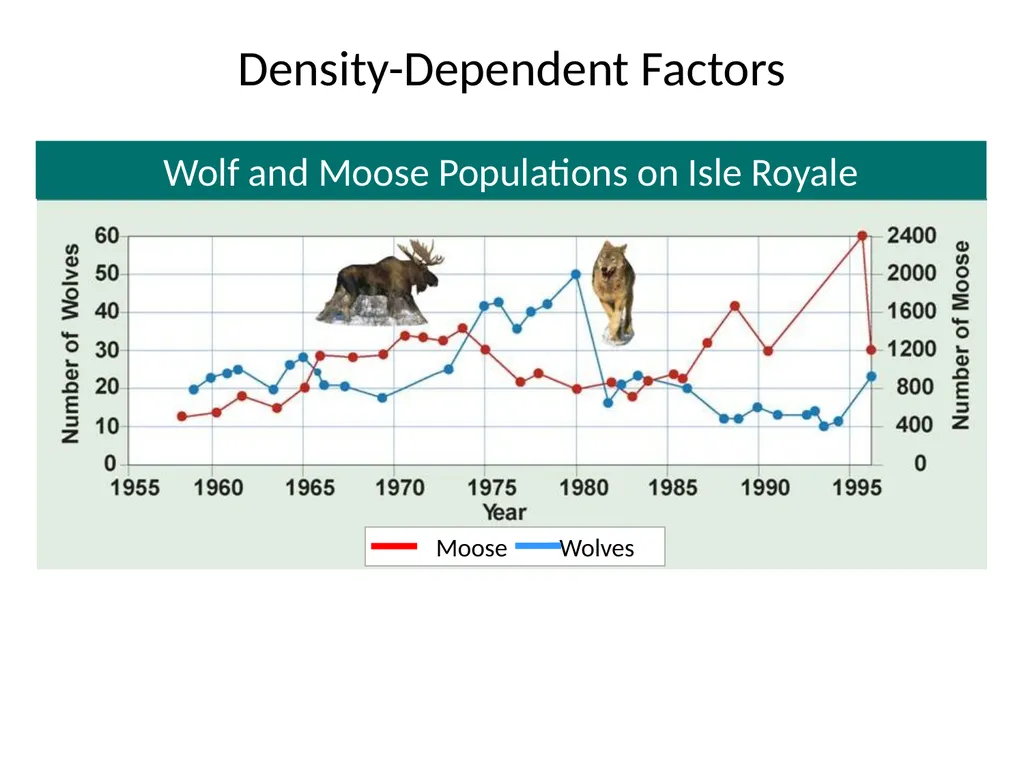 Section 5.1, Population Ecology What types of - slide 16 of 34