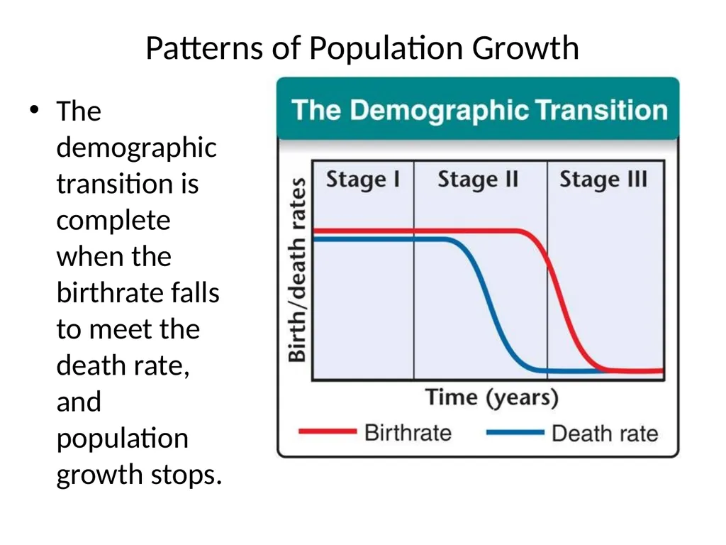 Section 5.1, Population Ecology What types of - slide 28 of 34