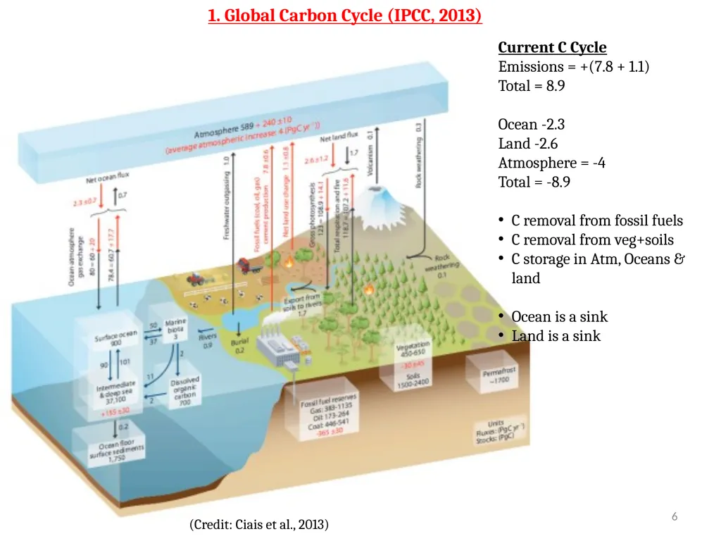 EE529 Fall 2022 Chapter 01: Carbon Cycle Part-03 - slide 6 of 15