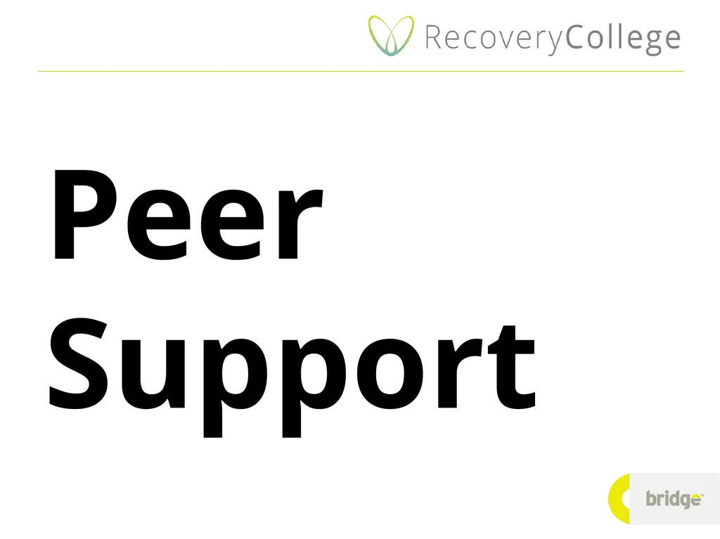 Peer Support Think about a time when you… were - slide 1 of 16