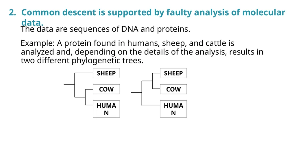 A Thoughtful Approach to Theistic Evolution Brian - slide 8 of 15