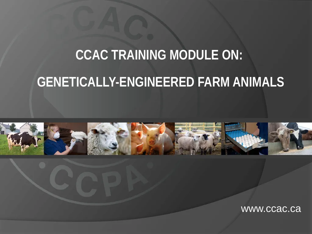 CCAC TRAINING MODULE ON: GENETICALLY-ENGINEERED - slide 1 of 16