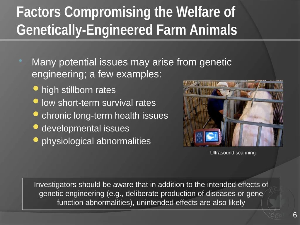 CCAC TRAINING MODULE ON: GENETICALLY-ENGINEERED - slide 6 of 16