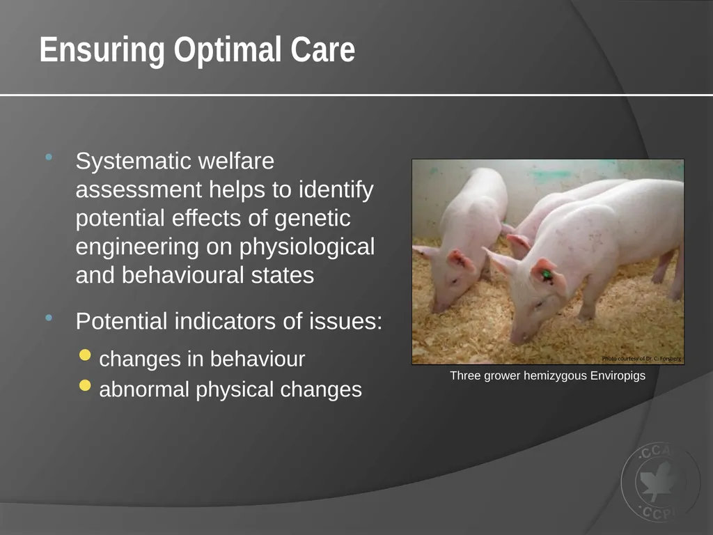 CCAC TRAINING MODULE ON: GENETICALLY-ENGINEERED - slide 14 of 16