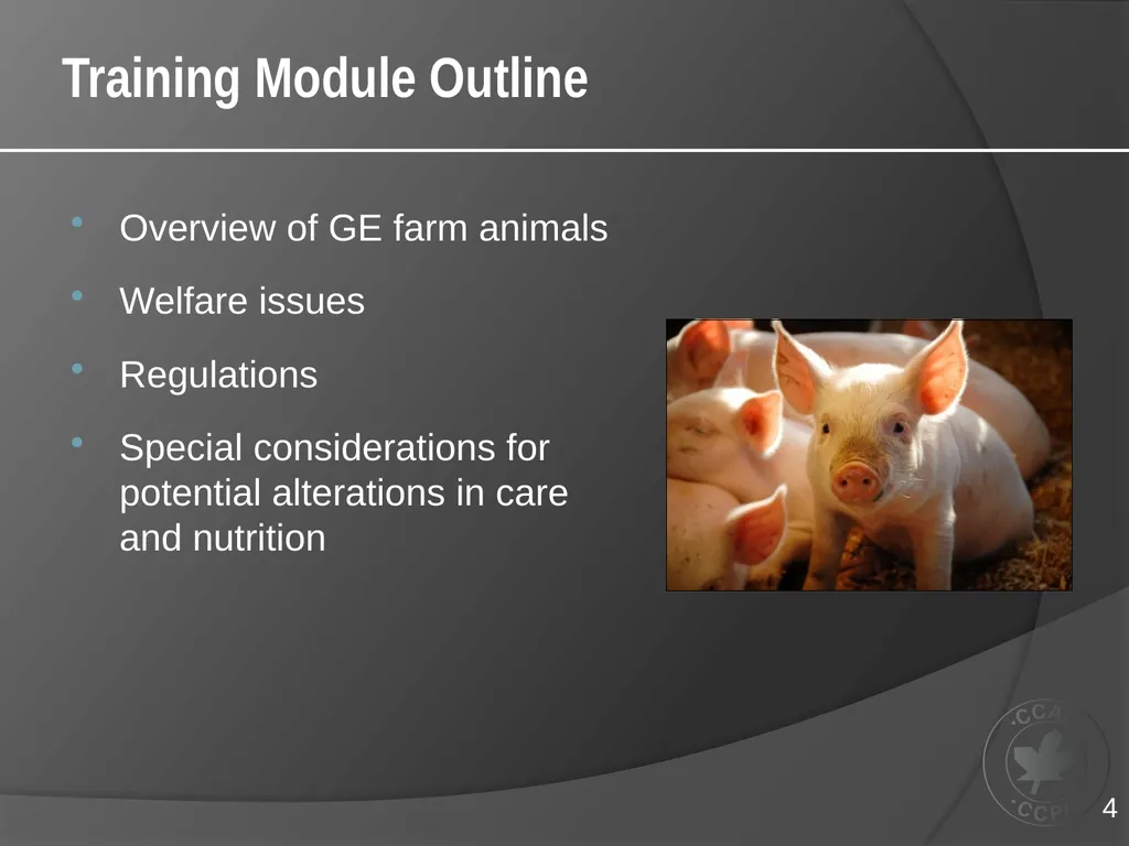 CCAC TRAINING MODULE ON: GENETICALLY-ENGINEERED - slide 4 of 16
