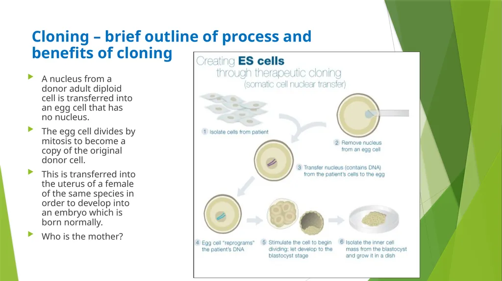 ASSET GRADE 12 LIFE SCIENCES REVISION 2020 - slide 14 of 17