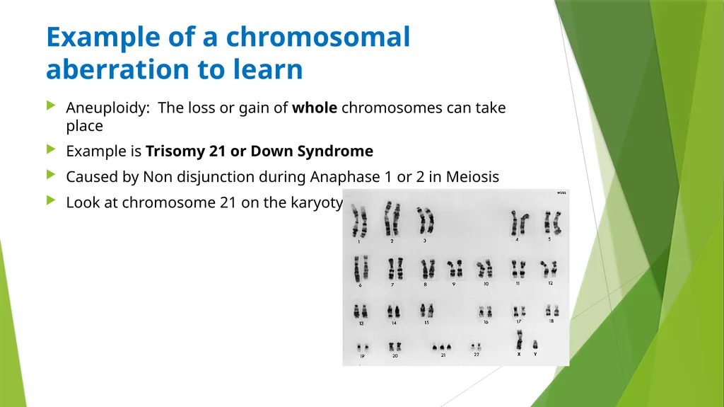 ASSET GRADE 12 LIFE SCIENCES REVISION 2020 - slide 5 of 17
