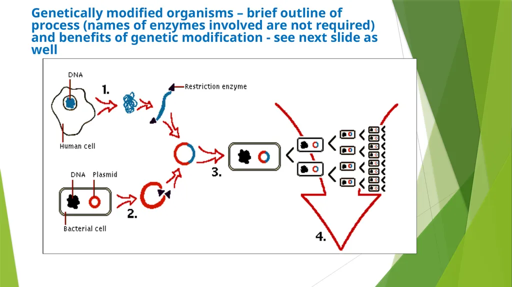 ASSET GRADE 12 LIFE SCIENCES REVISION 2020 - slide 11 of 17