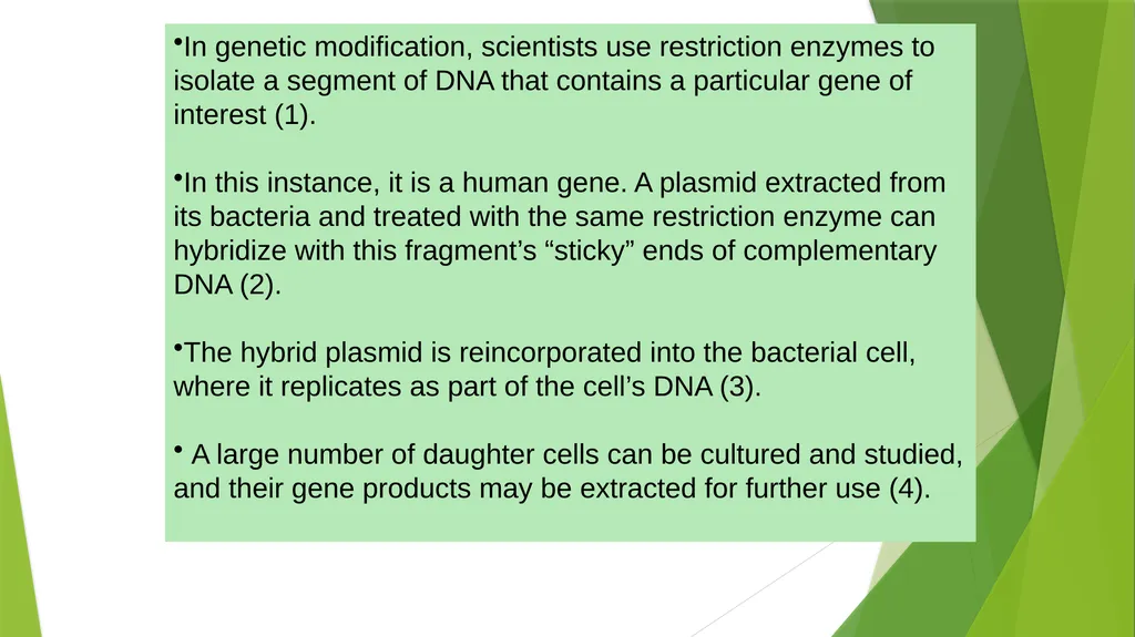 ASSET GRADE 12 LIFE SCIENCES REVISION 2020 - slide 12 of 17