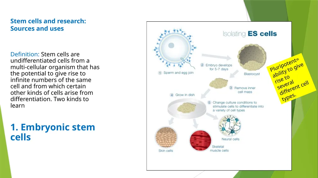 ASSET GRADE 12 LIFE SCIENCES REVISION 2020 - slide 8 of 17