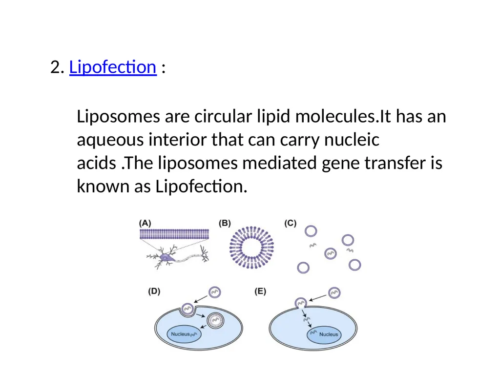 TRANSGENIC ANIMAL PRODUCTION SUBHASHREE - slide 6 of 16