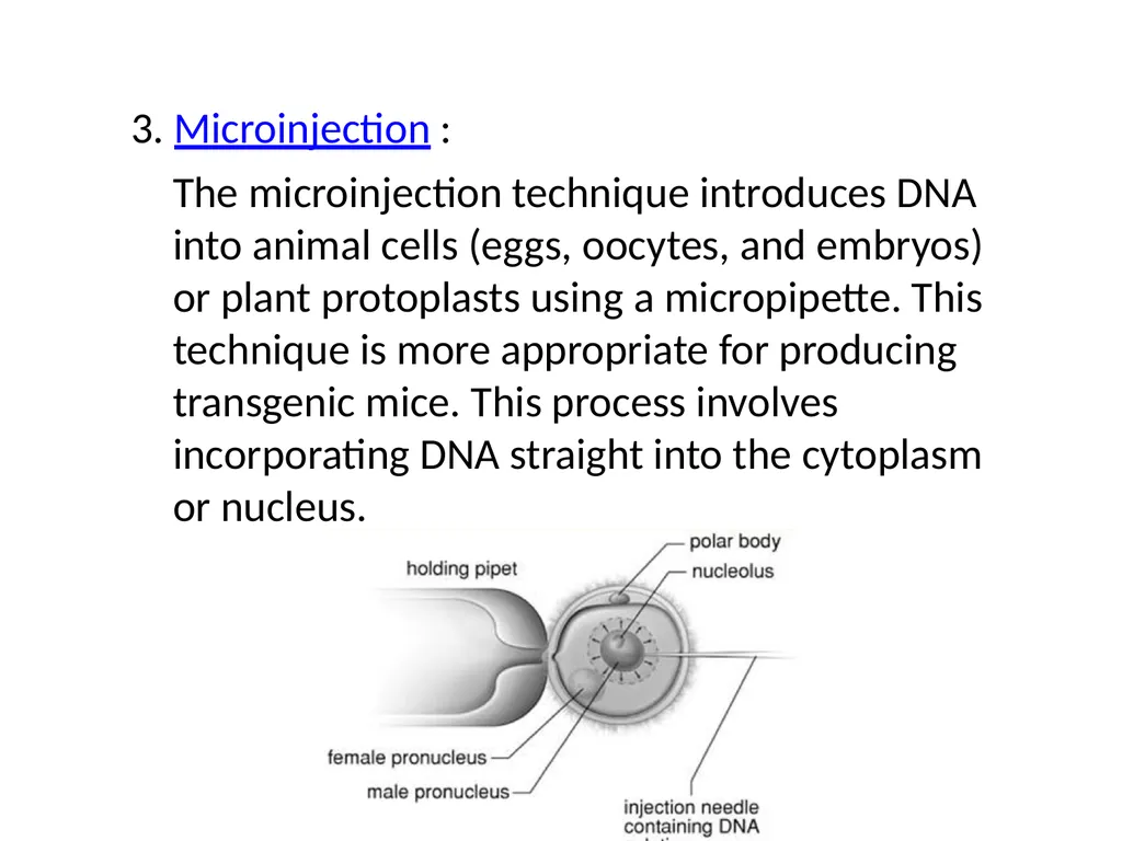 TRANSGENIC ANIMAL PRODUCTION SUBHASHREE - slide 7 of 16