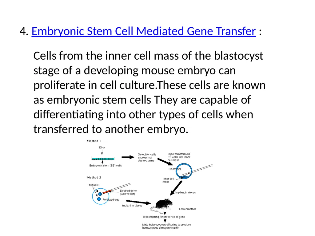 TRANSGENIC ANIMAL PRODUCTION SUBHASHREE - slide 8 of 16