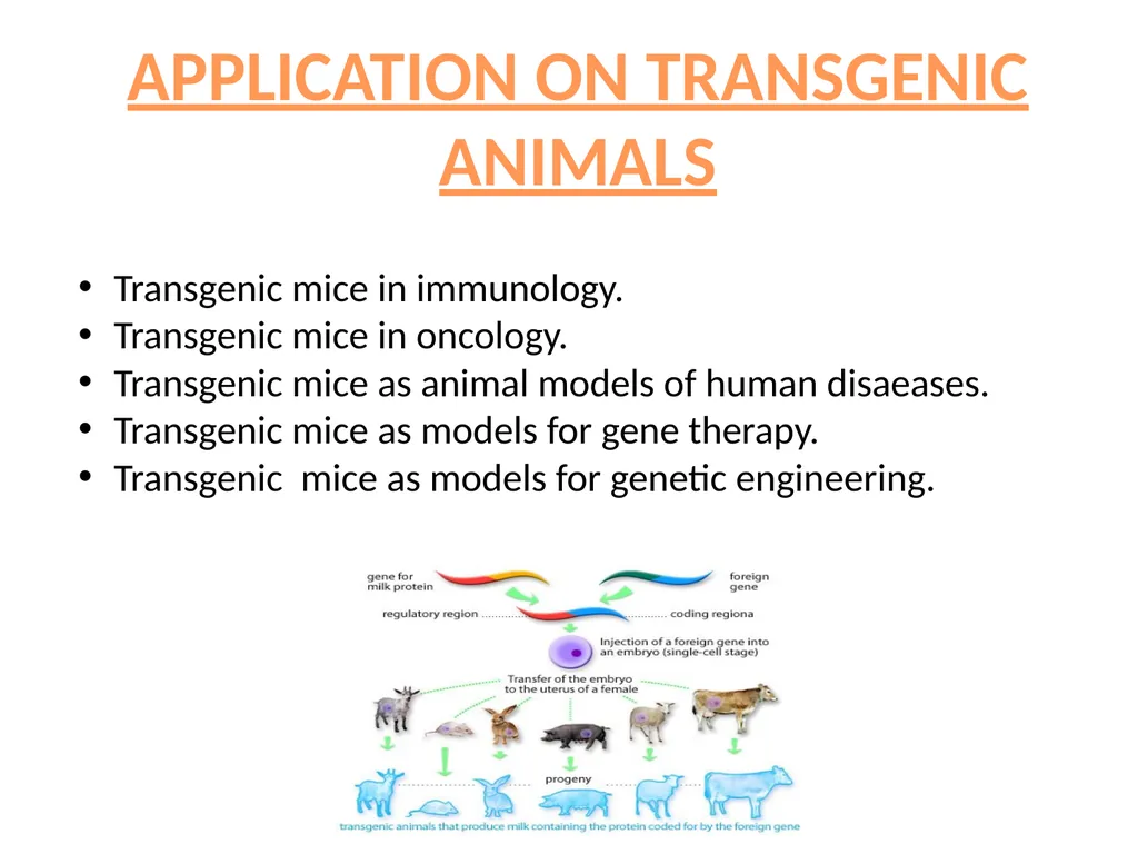 TRANSGENIC ANIMAL PRODUCTION SUBHASHREE - slide 10 of 16