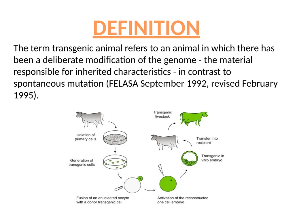 TRANSGENIC ANIMAL PRODUCTION SUBHASHREE - slide 4 of 16