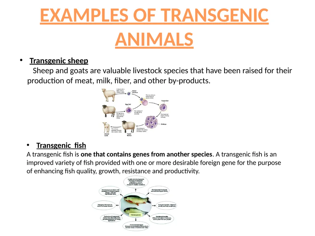 TRANSGENIC ANIMAL PRODUCTION SUBHASHREE - slide 9 of 16