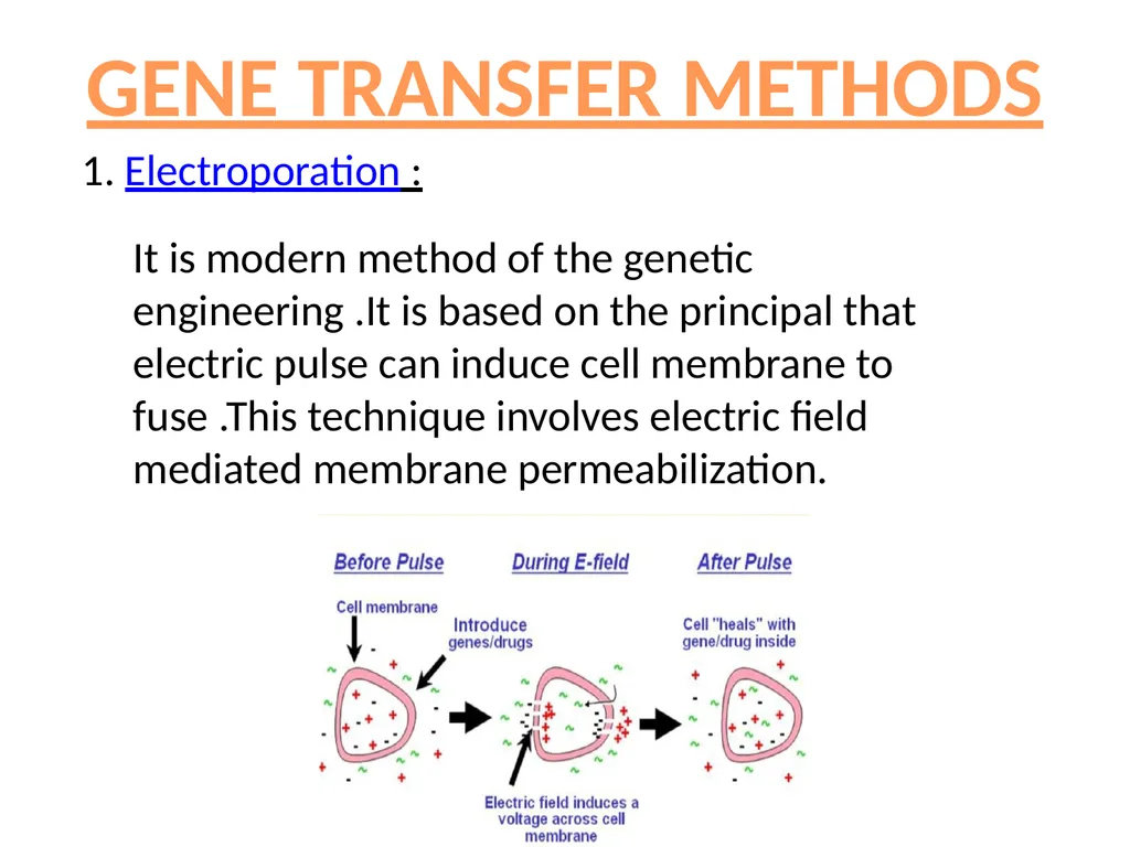 TRANSGENIC ANIMAL PRODUCTION SUBHASHREE - slide 5 of 16