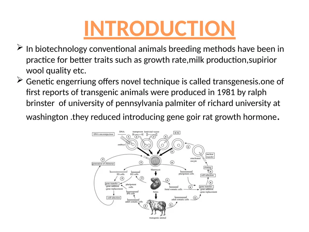 TRANSGENIC ANIMAL PRODUCTION SUBHASHREE - slide 3 of 16
