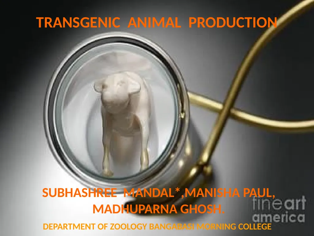 TRANSGENIC ANIMAL PRODUCTION SUBHASHREE - slide 1 of 16