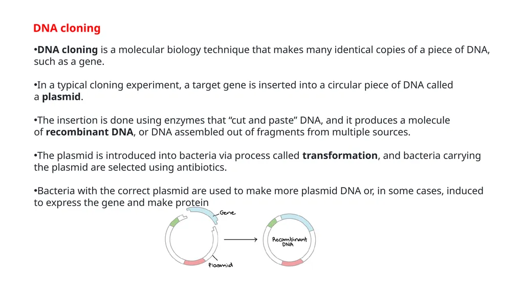 Genetics Engineering Lecture-1 Introduction to - slide 7 of 16