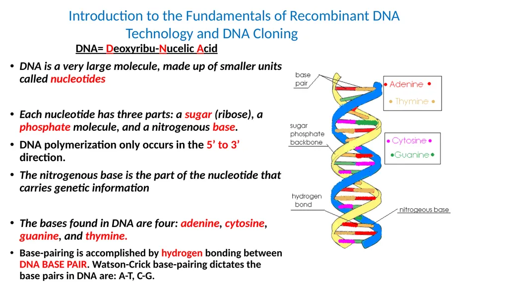 Genetics Engineering Lecture-1 Introduction to - slide 2 of 16