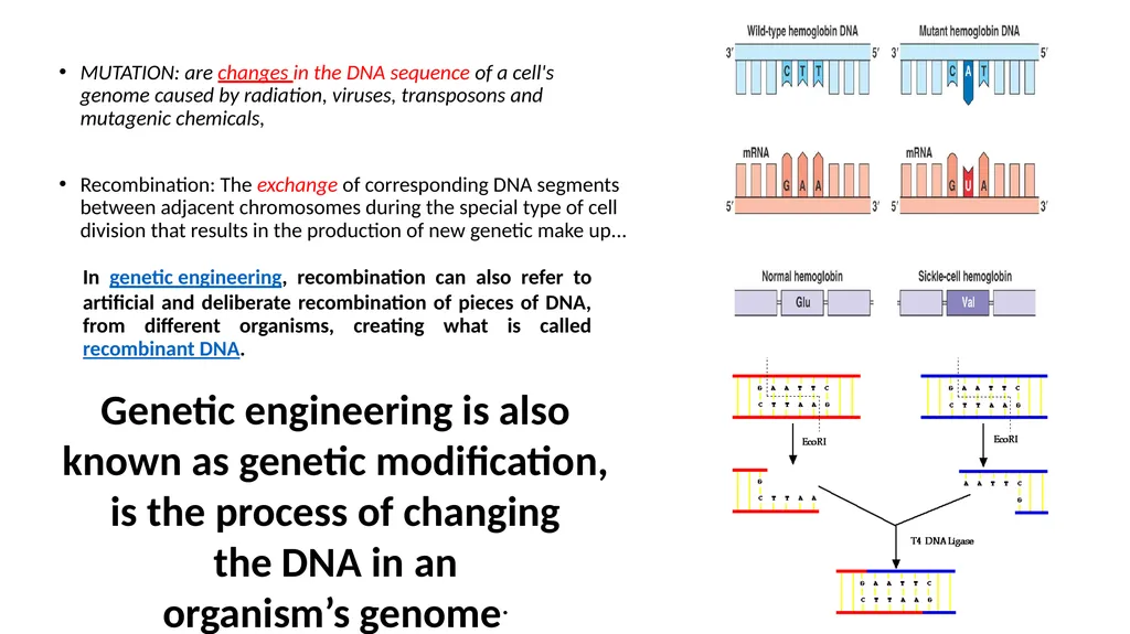 Genetics Engineering Lecture-1 Introduction to - slide 6 of 16