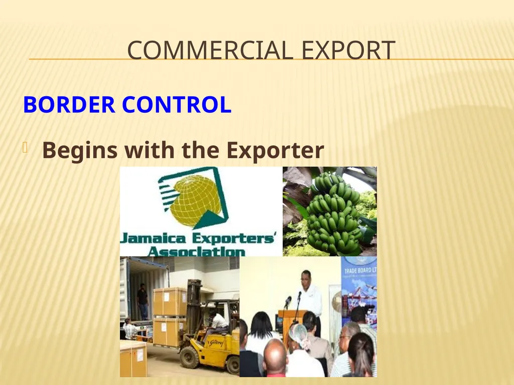 COMMERCIAL EXPORT COMMERCIAL expORT Exporters of - slide 10 of 12
