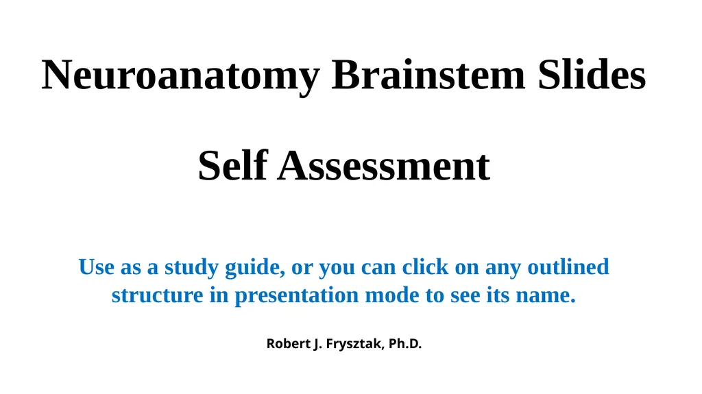 Neuroanatomy Brainstem Slides Self Assessment Use - slide 1 of 13