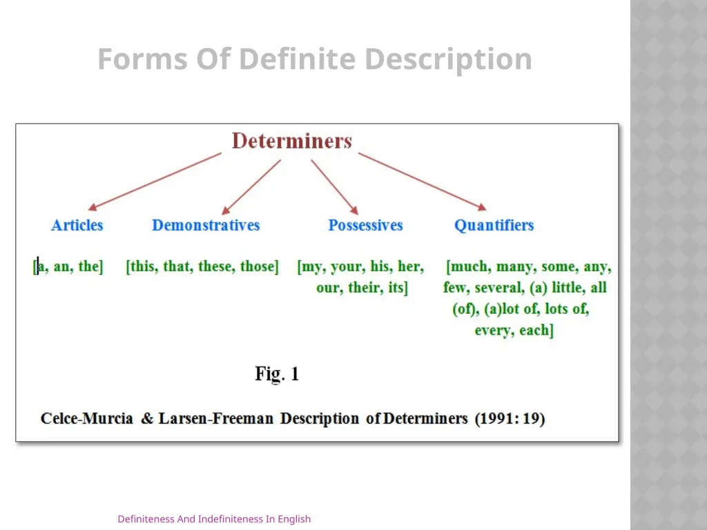 Definiteness And Indefiniteness In English Assist - slide 8 of 16