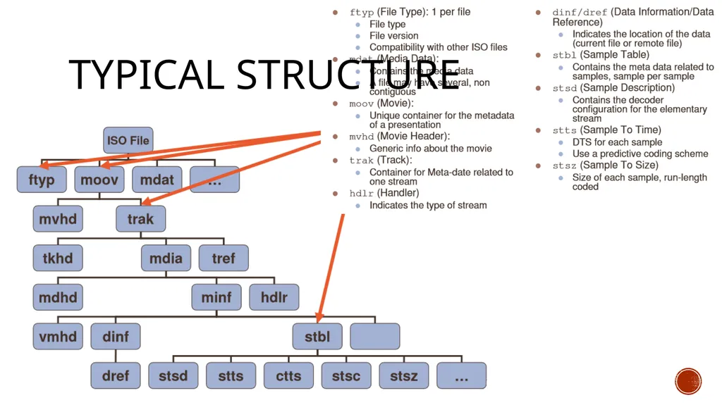 INTERNATIONAL ORGANISATION FOR STANDARDISATION - slide 13 of 48