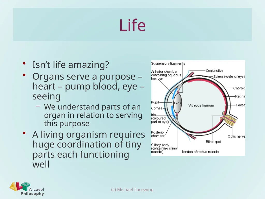Swinburne’s design argument Michael Lacewing - slide 2 of 16