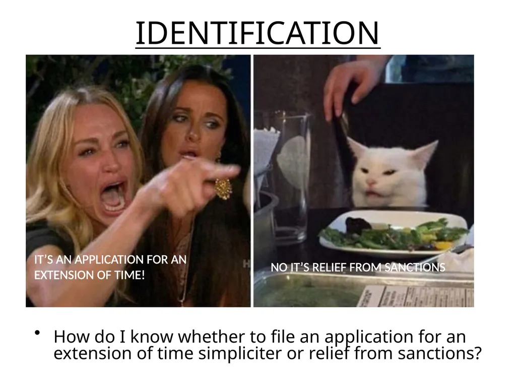 APPLICATIONS FOR EXTENSIONS OF TIME & RELIEF FROM - slide 2 of 17