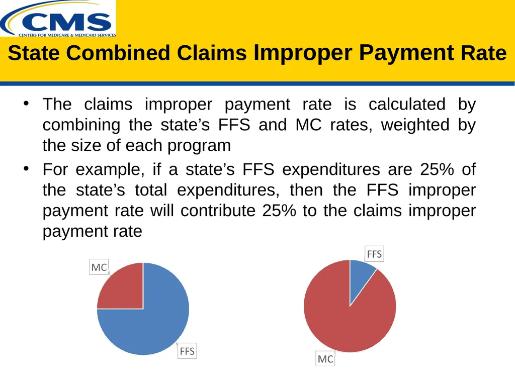 PERM Improper Payment Rate Calculation - slide 10 of 17