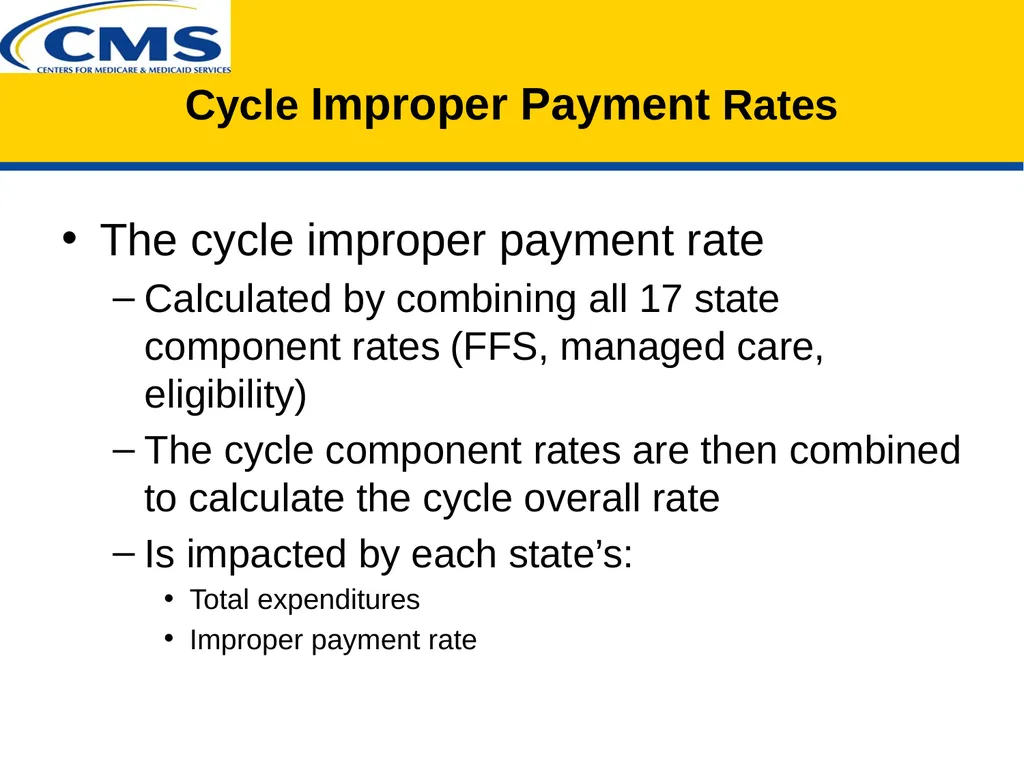 PERM Improper Payment Rate Calculation - slide 13 of 17